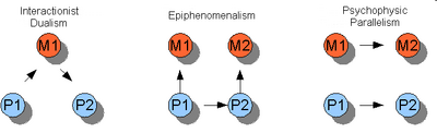 dualism psychology wikia edit mental dualist causation views