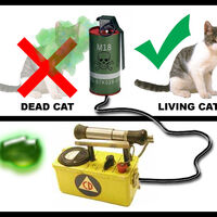 Schrodinger S Cat Psychology Wiki Fandom