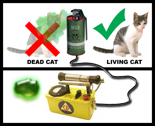 schrödinger s cat psychology