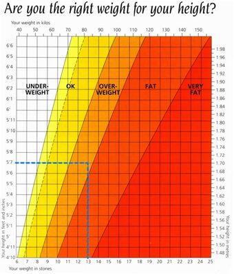 Body Mass Index Psychology Wiki Fandom