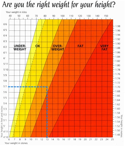 Body Mass Index Psychology Wiki Fandom