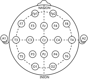 10 20 System Psychology Wiki Fandom