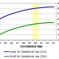 Gestational Age Psychology Wiki Fandom