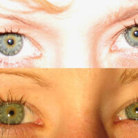 Eye Colour Psychology Wiki Fandom