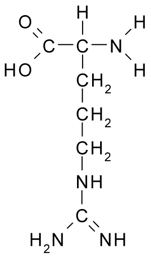 Amino Acid Psychology Wiki Fandom Powered By Wikia