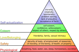 Maslow's hierarchy of needs | Psychology Wiki | Fandom