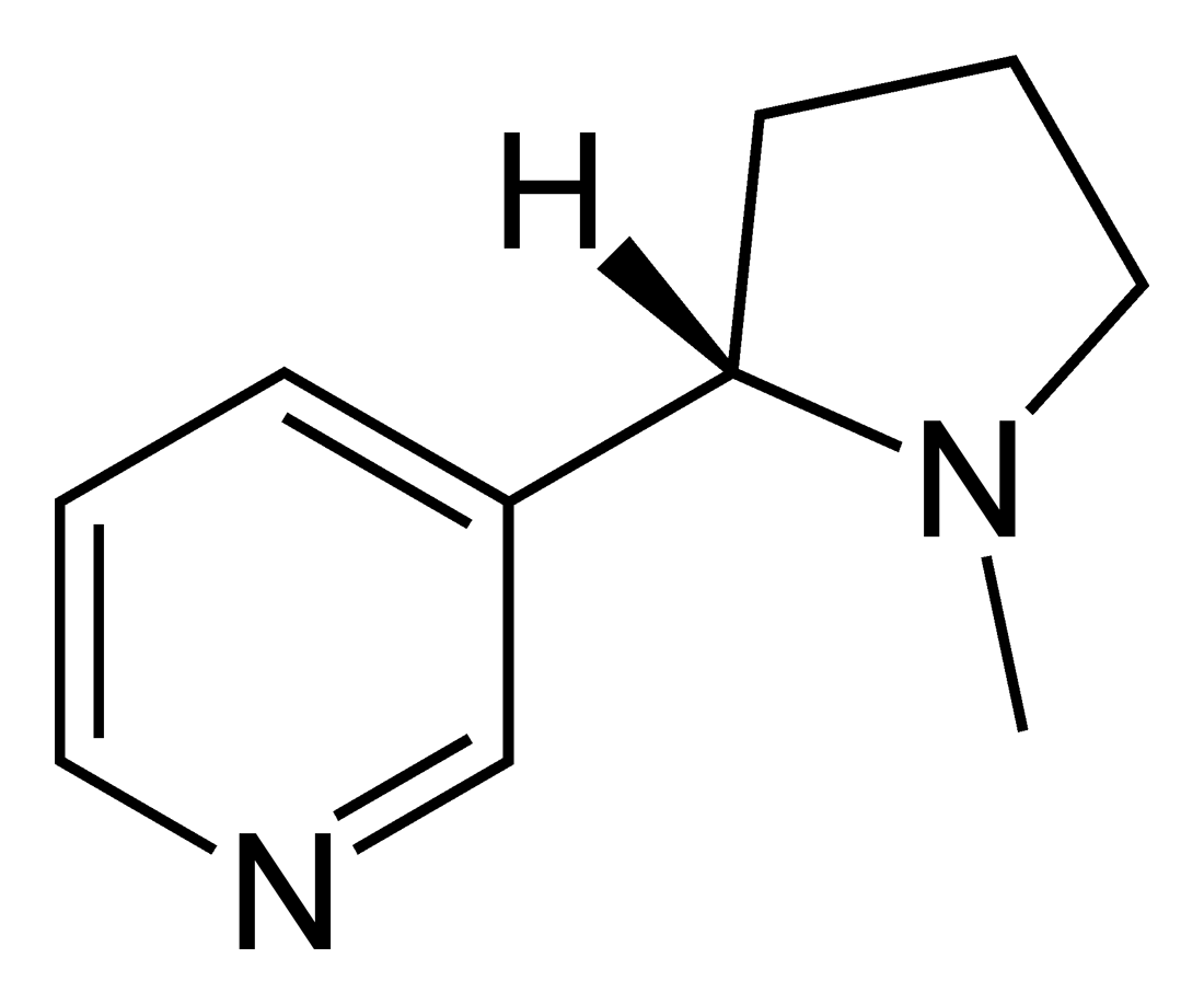 Nicotinic Acetylcholine Receptor Psychology Wiki