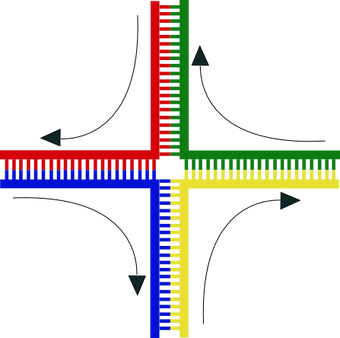 Genetic Recombination Psychology Wiki Fandom Powered By - 