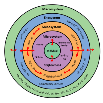 Bioecological Model Psychology Wiki Fandom Powered By Wikia - 