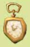 Gold watch