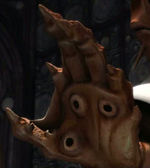 Mão Mon Calamari