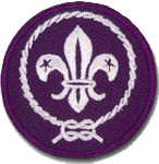Scoutworldmembershipbadge2
