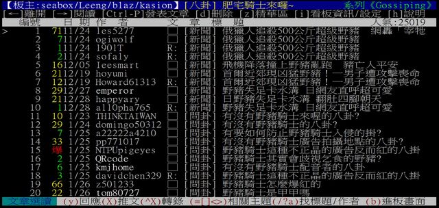 檔案:野豬騎士.jpg