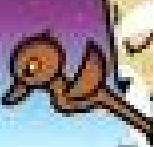 Images