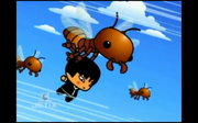Termites