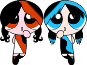 Bee and Boo