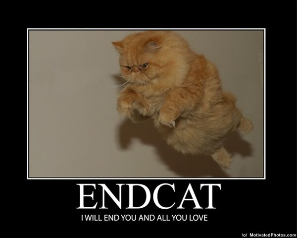 File:Endcat.jpg
