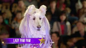 Lady Paw-Paw | Pup Star Wiki | Fandom