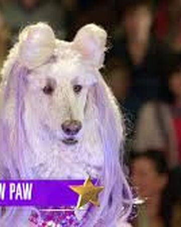 lady paw paw