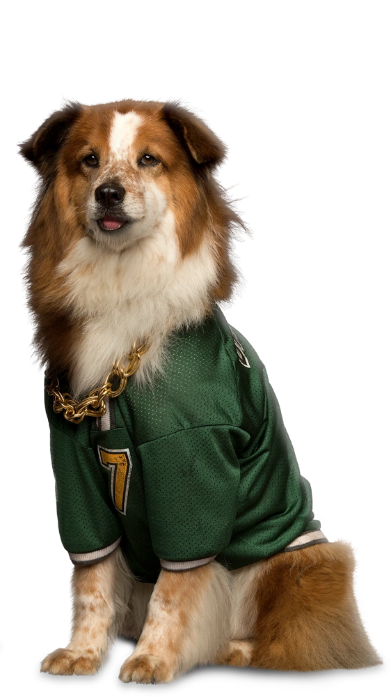 Ruff Pup Star Wiki Fandom