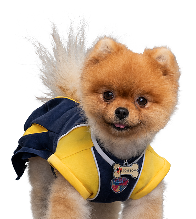 Pom-Pom | Pup Academy Wiki | Fandom