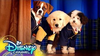 No Matter What Pup Academy Wiki Fandom