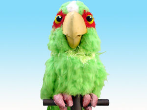 Parrot
