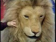 Aslan