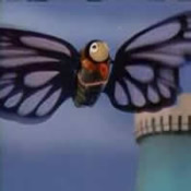 Darrelle Butterfly