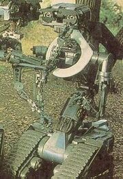 CurlyShortCircuit