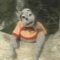 pictures of brittany spaniels