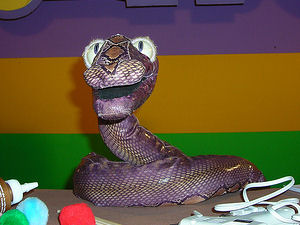 Snakephoto