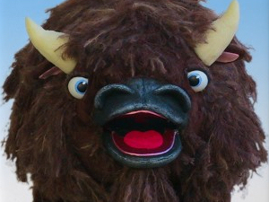 Buffalophoto