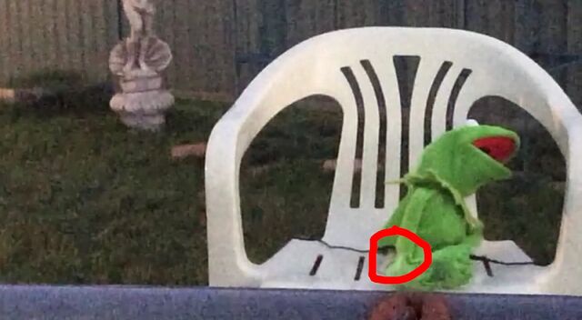 File:Kermit Rainbow Goof.jpg
