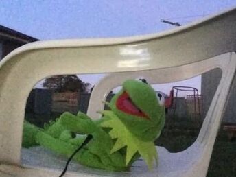Kermit