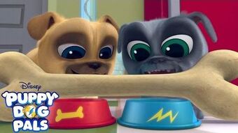 Theme Song Puppy Dog Pals Wiki Fandom