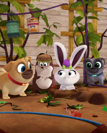 When Hedgie Met Sallie Puppy Dog Pals Wiki Fandom