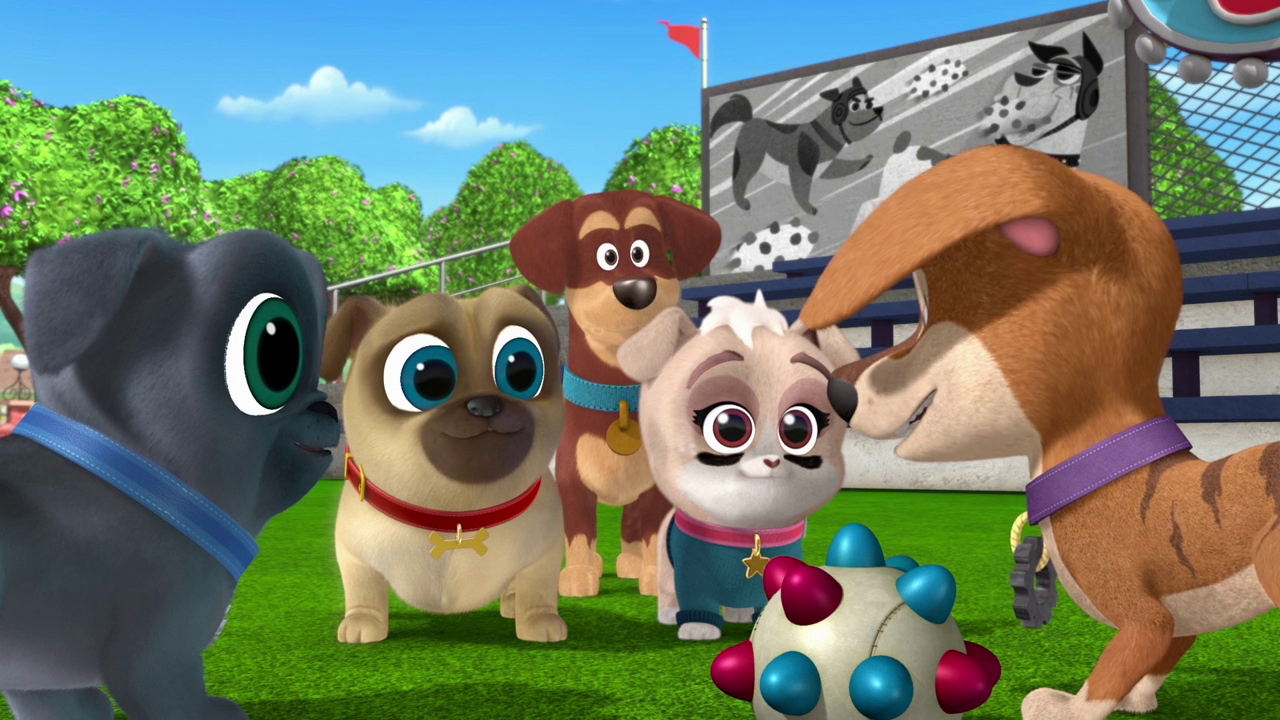 The Bark Bowl | Puppy dog pals Wiki | Fandom