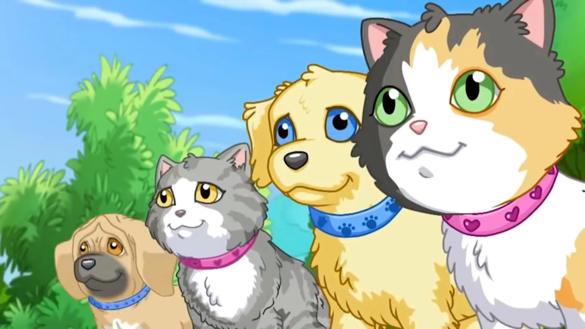 Щенок в моём кармане. Щенок в моем кармане. Щенок в моем кармане мультсериал. Щенок в моем кармане эмми. Щенок в моём кармане.