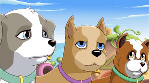 PuppyTrotters