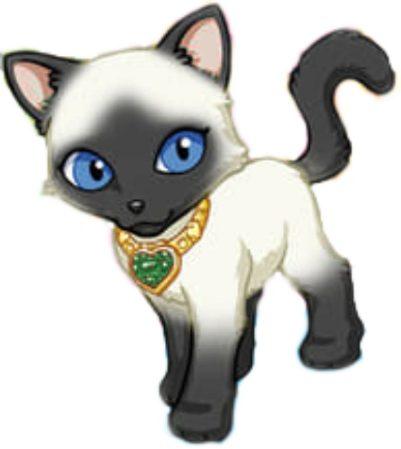 my puppy in my pocket