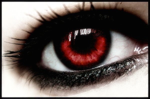 Vampire | The Pureblood Legacies Wikia | Fandom