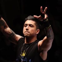 Tjp Puroresu System Wiki Fandom