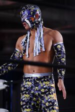 Shun Skywalker2