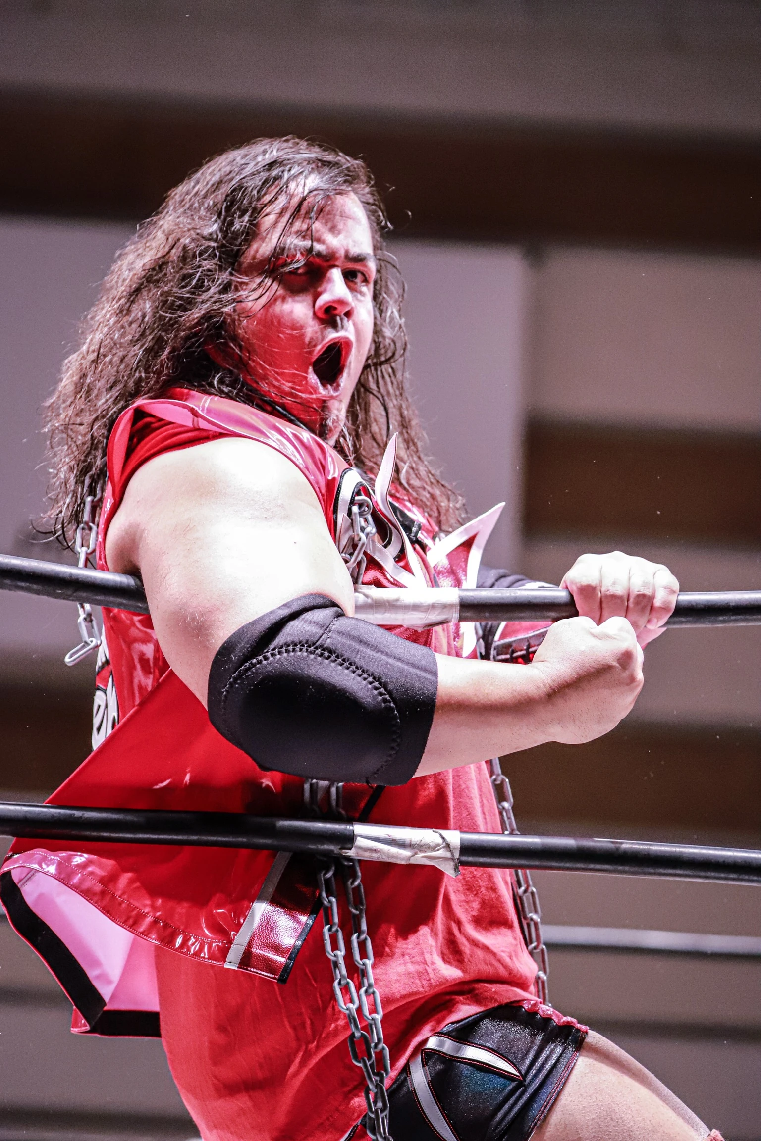 Quiet Storm Puroresu System Wiki FANDOM powered by Wikia