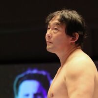 Tajiri Puroresu System Wiki Fandom