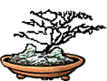 Mikobonzaitree
