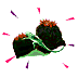Mikocactusandlizard