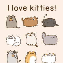 pusheen little sister