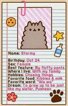 pusheen stormy birthday